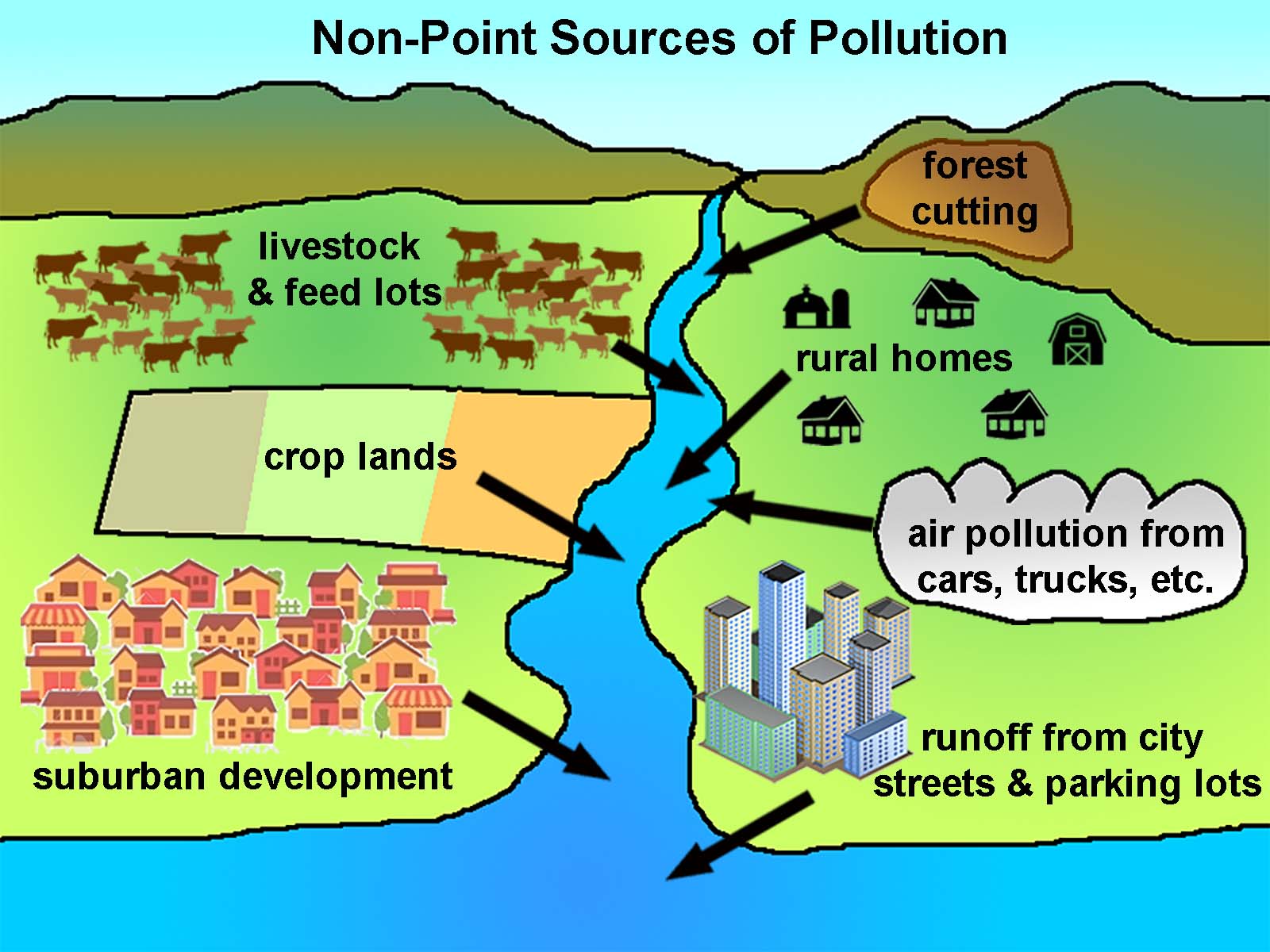 Point And Nonpoint Source Pollution Worksheet Answer Key