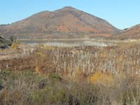 Wetlands (with remnants of a dround forest) at east end of Lake Hodges with Bernardo Mountain and Felicita Creek Canyon in the distance.