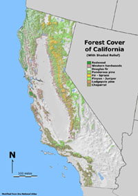 Forest cover of California