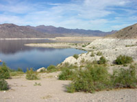 View of the "bathtub ring" at the east end of Lake Mead.