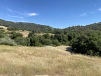 Headwaters of Santa Ysabel Creek in the vicinity of the Elsinore Fault zone.