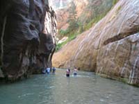 The Narrows of the Virgin River in Zion National Park.