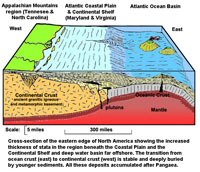 Appalachian Basin and Atlantic Margin