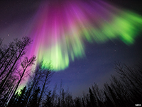 The aurora borealis are streaming light displays lights in the northern hemisphere.