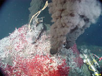 black smoker deposits on the seafloor