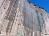 Desert varnish in Canyon de Chelley National Monument