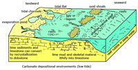 Carbonate depositional environments