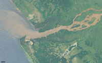 The Congo River delta