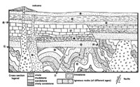 Cross Section Quiz