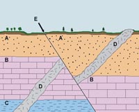 Cross section