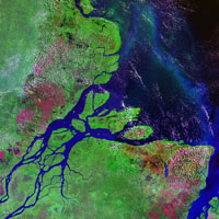 Amazon Delta