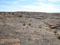 Desert pavement on a pediment surface