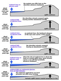 Formation of marine terraces