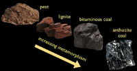 Metamorphism of plant material into coal
