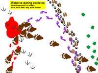 Relative dating of tracks