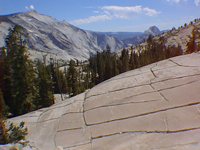 Granodiorite exposed in Yosemite NP