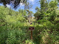 Sensitive habitat - keep out sign along Sycamore Creek.
