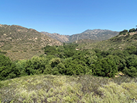 View looking east along Warren Canyon in the Blue Sky Ecological Reserve.