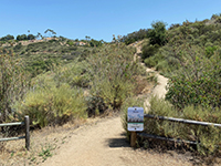 Trail to the Torretto Overlook and Amphitheater.