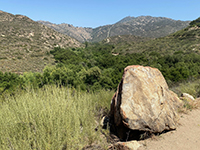 Granite boulder along the Torretto Overlook Trail.