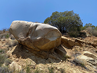 Large boulder looming over the Truck Trail below Lake Ramona Dam.