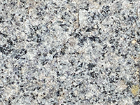 Coarse crystalline granite (tonalite) in outcrop near Lake Ramona Dam.