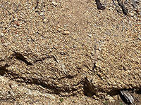 Grussy granite, coarse crystalline granite weathering to sediment.