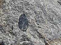 A basalt inclusion in granite.