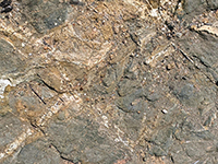 Migmatite, blue schist with aplite dike veins exposed in road cut.