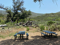 Picnic tables at 0.9 mile from trailhead, 1.5 miles to Lake Ramona.