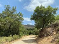 View along the Green Valley Truck Trail (now a pedestrian-only  trail).