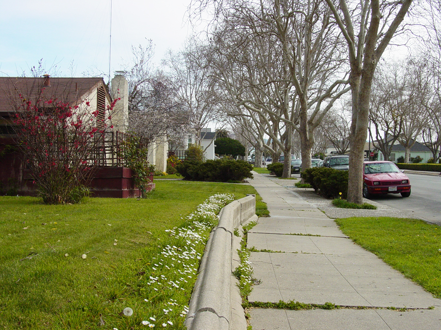 Sidewalk offset by creep, Hollister, California – Geology Pics