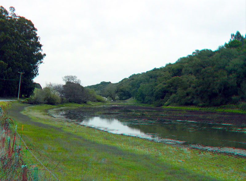 Anzar Road sag pond