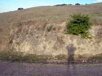 Outcrops along the Old Stage Road