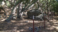 Vergeles Fault is highlighted by a lone of oaks and a knotch (col) on the mountainside south of the Anza Trail