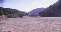 Valley view of Salinas Creek