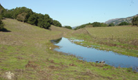 Sag pond along the Calaveras Fault
