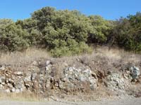 Serpentinite outcrop near Chesbro Reservoir