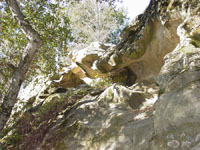 Weathered sandstone outcrop (tafoni weathering)