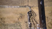 Offset fence near Prescott Road on Nyland Ranch