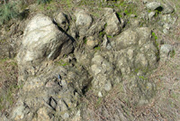 Serpentinite outcrop along Coyote Dam road.