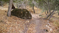 Large boulder of rhyolite porphyry along the Loop Trail on the hillsopes above the Retreat Center
