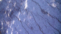 Fractures in asphalt caused by creep along the San Andreas Fault at the Saint Francis Retreat