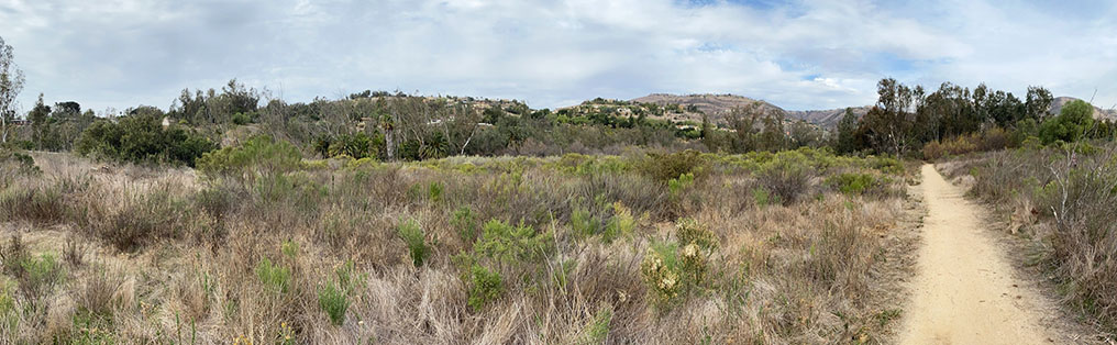 Panoramic view of the coastal sage scrub plant community covering the Santa Fe Valley floodplain with the dirt trail on the right.