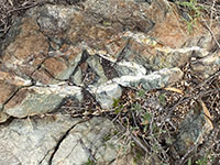 A fractured boulder of greenstone with white veins of quartz running through it.