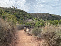 View of an earthen trail through coastal sage scrub plant community with a line of hills in the distance.