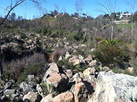 View of the rocky floodpain with vegetation between large angular boulders and outcrops of white and orange colored rocks.