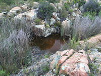 View of a stagnant pool of water on the rocky floodpain with vegetation between large angular boulders and outcrops of white and orange colored rocks.