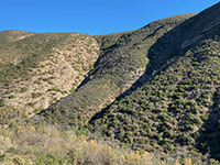View of the high mountainside on the south side of Del Dios Gorge showing two ravines draining into the river bed.