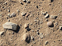 Both rounded and angular cobbles and gravel fragments imbedded in brown earth on the surface of a trail.
